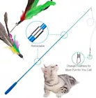 Cat Fishing Set - Interactive Toy With Feathers & Pendants