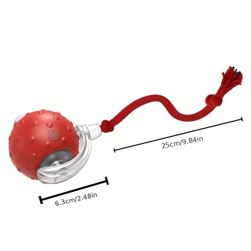 Interactive Play Ball With Tail