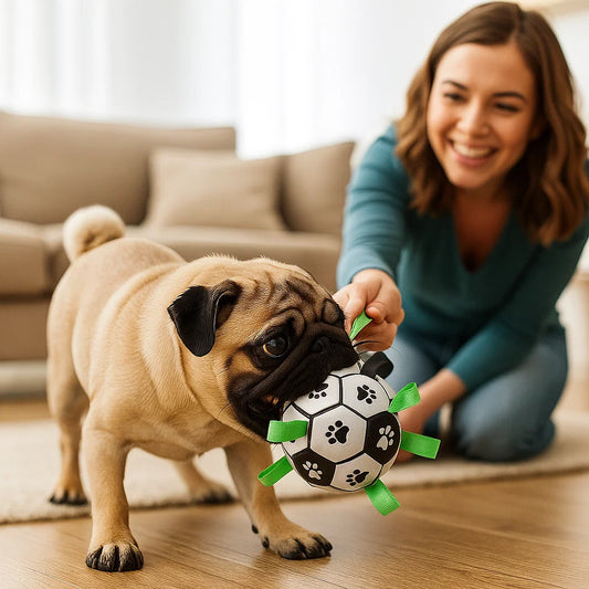 Robust Dog Toy Ball with Pull Handles