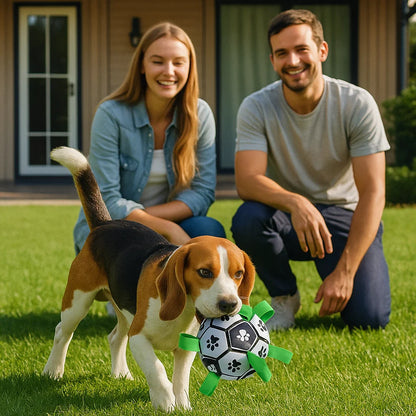 Robust Dog Toy Ball with Pull Handles