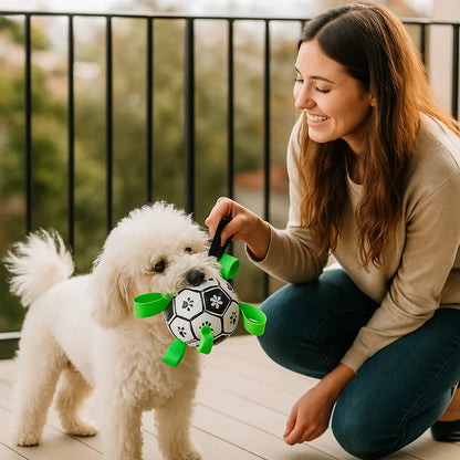 Robust Dog Toy Ball with Pull Handles