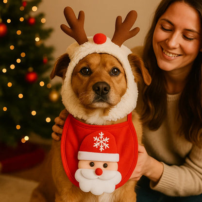 Christmas Outfits for Dogs