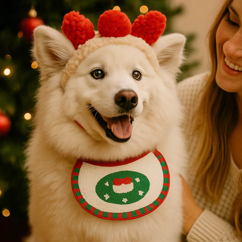 Christmas Outfits for Dogs