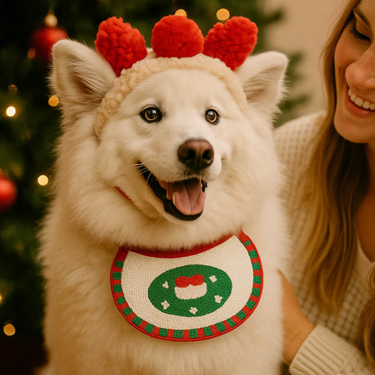 Christmas Outfits for Dogs