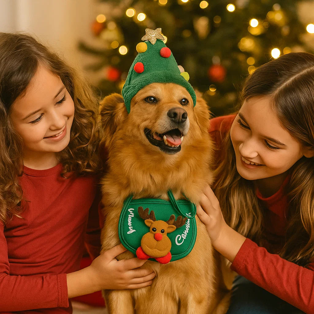 Christmas Outfits for Dogs