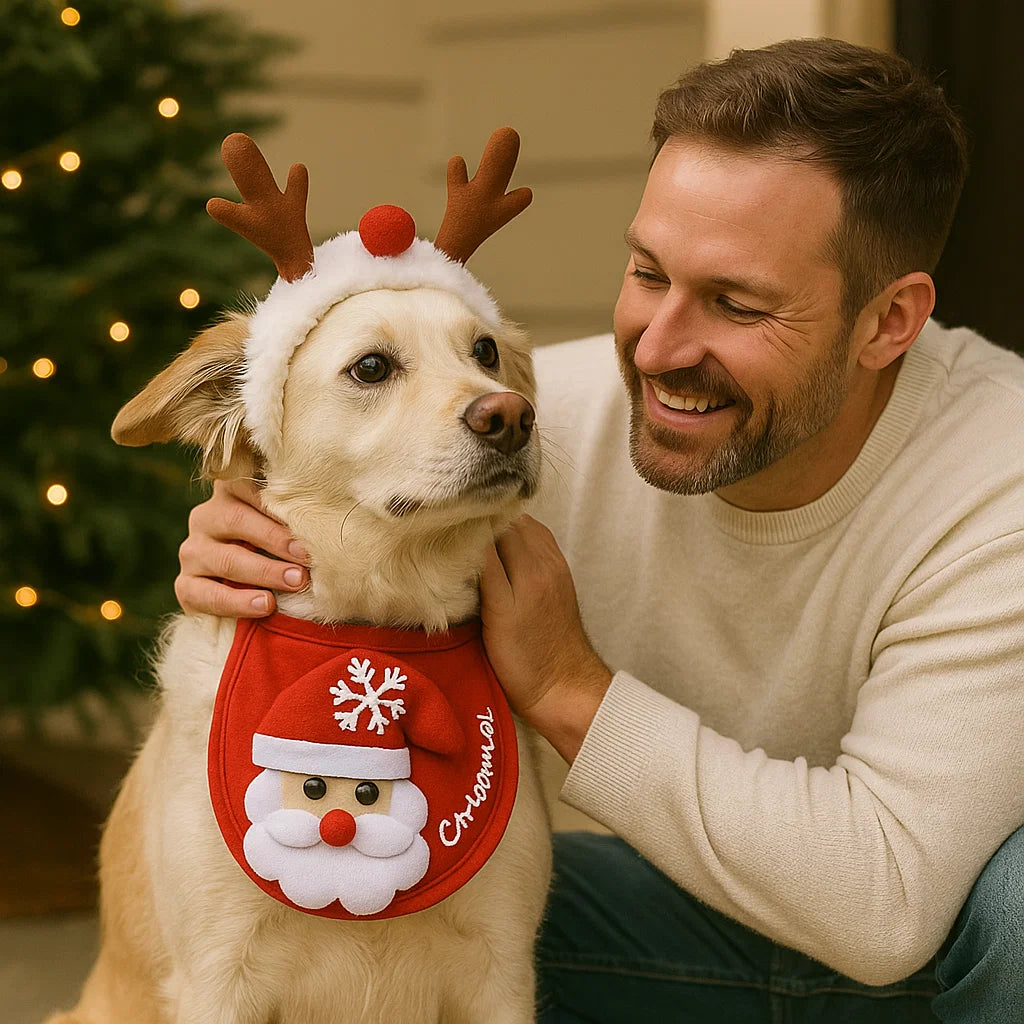 Christmas Outfits for Dogs