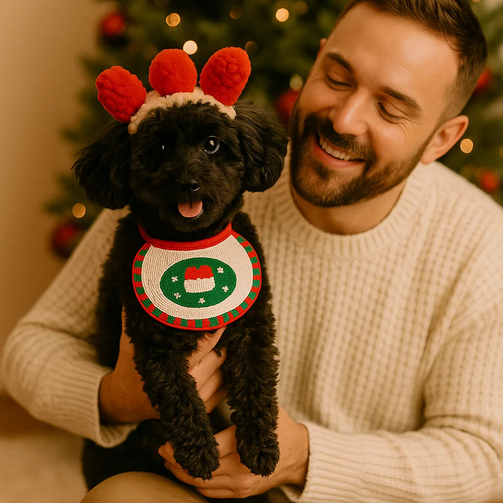 Christmas Outfits for Dogs