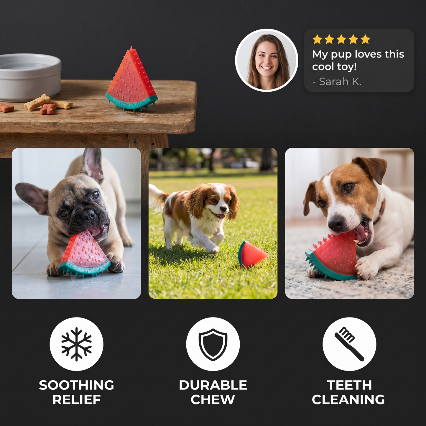 Cooling Fruit Dog Chew Toy