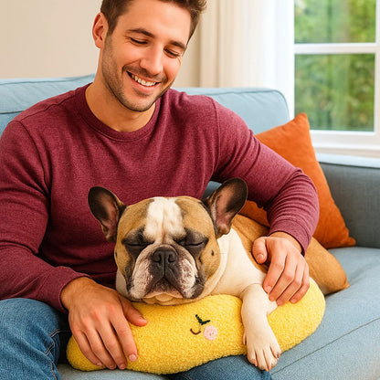 Ergonomic Dog Support Pillow for Healthy Posture