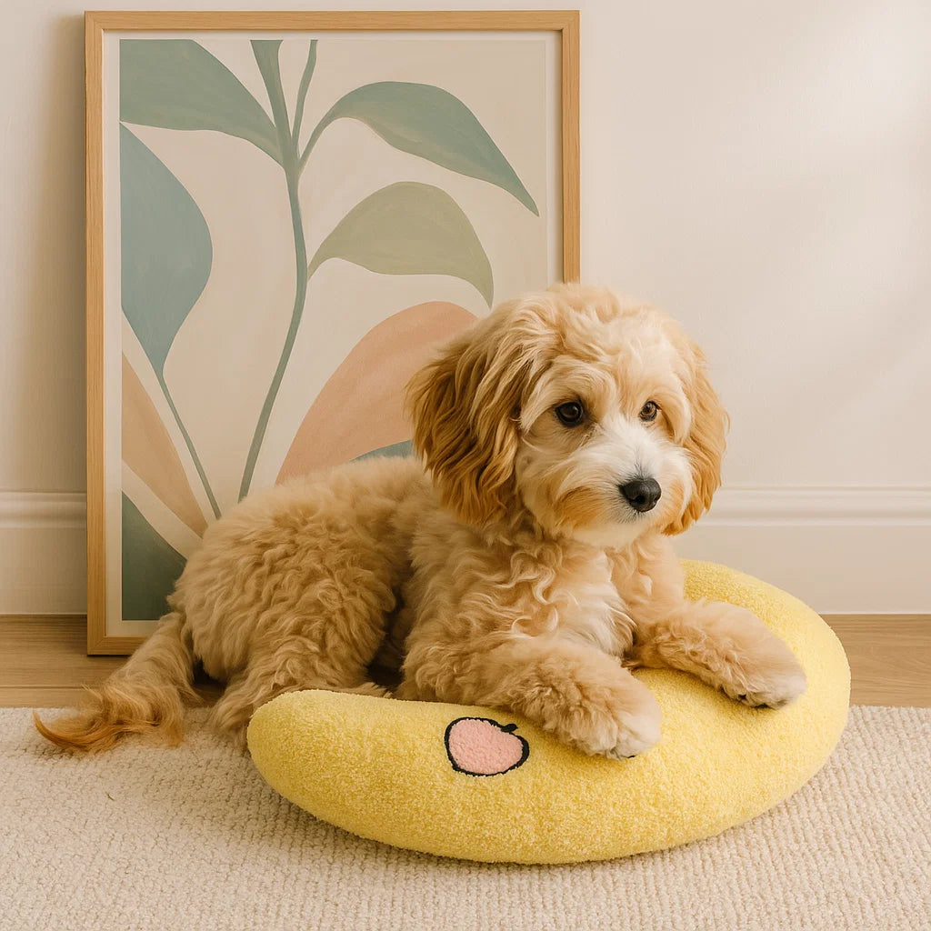 Ergonomic Dog Support Pillow for Healthy Posture